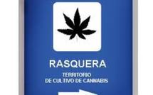 Espagne: des villageois votent sur un projet de plantation de cannabis