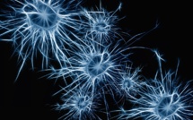 La mémoire collective influence nos souvenirs individuels