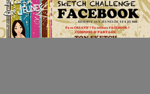 Sketch Challenge FACEBOOK  au programme du prochain Vis ta Ville