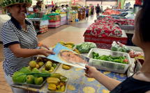 Le Comité de soutien à Marine Le Pen en campagne