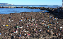 Sixième continent de déchets en mer : questions aux candidats
