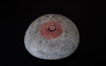 Diagnostic du cancer du sein : l'intelligence artificielle peut faire mieux que l'humain