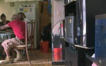 Des élevages de poisson dans les cuisines new-yorkaises?