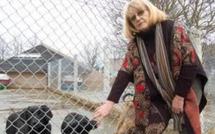 Elle mord son bulldog et est inculpée pour cruauté envers les animaux