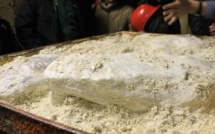 Pas de lien entre talc et cancer des ovaires, selon une grande synthèse d'études