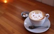 Un premier "café à chats" ouvre ses portes à Vienne