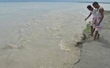 "Le fleuve a tout emporté": quand le Brahmapoutre dévore la terre