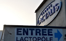 Ouverture des votes des "prix Pinocchio" pour dénoncer le greenwashing