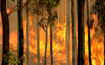 L'ONU prévoit une météo extrême après une décennie record de chaleur