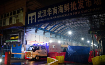 Un nouveau virus proche de celui du Sras scruté par les autorités mondiales