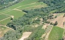 La FAO adopte des directives pour encadrer l'achat de terres dans le monde