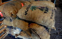 Huilerie de Tahiti : la grève s’enlise