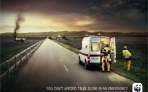 WWF : rapport alarmiste sur l'état de la planète avant le sommet Rio+20