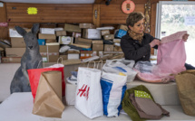 Feux en Australie: mobilisation en France au secours des marsupiaux orphelins