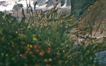 Torres del Paine, diadème de la Patagonie