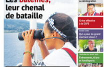 TAHITI INFOS N°1590 du 12 février 2020