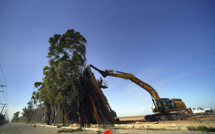 Le Pentagone débloque 3,8 milliards de plus pour le mur de Trump