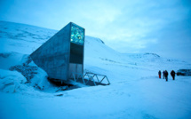 L'"Arche de Noé végétale" s'étoffe en plein coeur de l'Arctique