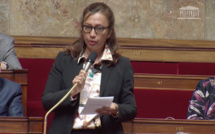 ​Sanquer demande des moyens contre l’ice à Castaner
