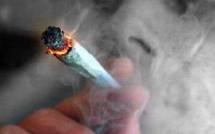 Il brûle des kilos de cannabis pour les faire disparaître et... s'évanouit