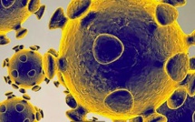 Le virus : ancien, minuscule, étonnant