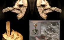 Les squelettes de vampires potentiels découverts en Bulgarie