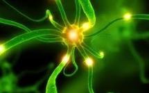 Autriche: premier test clinique mondial pour un vaccin contre Parkinson