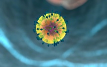 Deuxième cas mondial de guérison d'un patient atteint du VIH