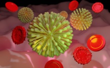 Le coronavirus en questions