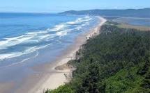 Un ponton emporté par le tsunami au Japon s'échoue sur une plage de l'Oregon
