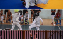 Le judo, le basket,  et l'escrime en pause
