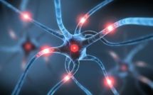 Sony a conçu un appareil d'analyse de cellules grâce aux techniques Blu-Ray