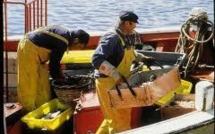 La pêche française mise en danger par Bruxelles, selon les professionnels