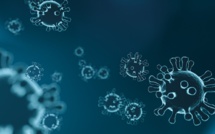 Coronavirus: faux remèdes miracles et rumeurs dangereuses font des ravages