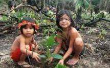 Rio+20 : coalition de pays et de groupes pour reboiser 18 millions d'ha de forêts