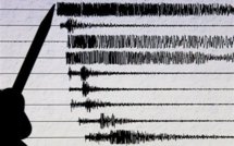 Forts séismes au large de la Nouvelle-Zélande