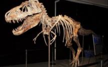 La justice américaine saisit un tyrannosaure mongol de 70 millions d'années