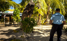 Martinique: fin de cavale pour un meurtrier et trafiquant de drogue