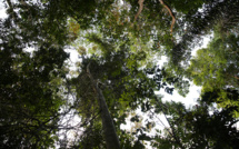 Un village amérindien de Guyane mis en quarantaine par arrêté du préfet