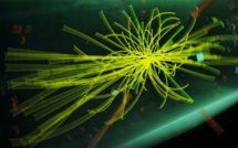 CERN: le chercheur belge à la base du mécanisme de Higgs espère une validation