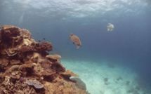 Un robot sous-marin français analysant les fonds testé en Méditerranée