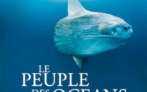 "Le peuple des océans" : immersion totale dans le Grand Bleu sur Arte