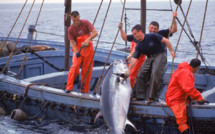 Un nouveau directeur pour l’agence des pêcheries du Forum