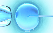 Procréation assistée: la Croatie remplace une des lois les plus restrictives en Europe