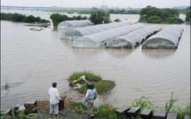 Japon: les évacués rentrent chez eux, mais de nouvelles pluies arrivent