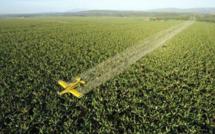 La pulvérisation aérienne d'insecticides se répand et fait polémique