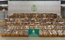 Hong Kong: saisie record de 26 tonnes d'ailerons de requins