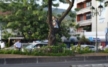 Papeete : un SDF menace de se jeter d'un arbre
