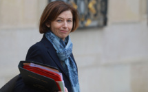 Coronavirus: l'armée française installera dix lits de réanimation à Mayotte (Parly)