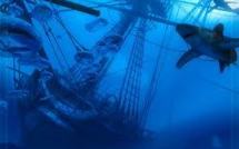 A Tonga, l'épave du "Port-au-Prince" peut-être découverte avec son trésor